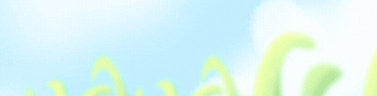 คณะกรรมการสถานศึกษา